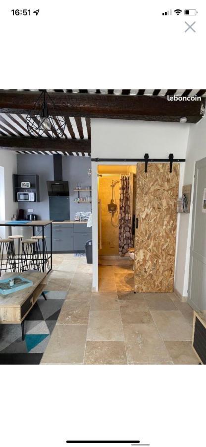 Studio De Charme Le Clos De L'Etang + Place De Parking LʼIsle-sur-la-Sorgue Dış mekan fotoğraf