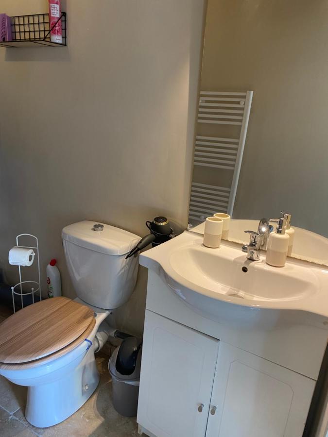 Studio De Charme Le Clos De L'Etang + Place De Parking LʼIsle-sur-la-Sorgue Dış mekan fotoğraf
